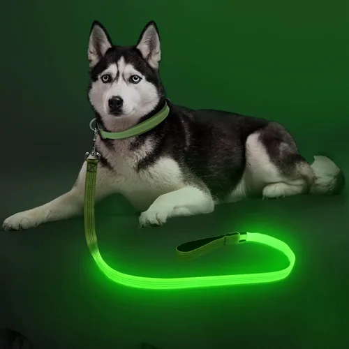 Vista 4 de Colaseeme Correa para perro iluminada, correas LED para mascotas, recargable por USB, luces de seguridad para perros por la noche (4 pies, verde)