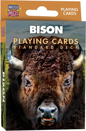 Vista 32 de MasterPieces Naipes Polar Express con licencia oficial - Baraja de 54 cartas para adultos