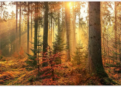 Vista 34 de Calcomanías de pared de nieve antártica, calcomanías de pared de pingüinos, murales de pared extraíbles, decoración de pared para dormitorio