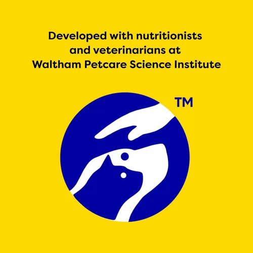 Vista 8 de Temptations Jumbo Stuff - Bocadillos crujientes y suaves para gato sabor salmón delicioso, cubo de 14 onzas