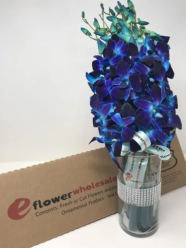 Vista 6 de PREMIUM Cut Azul orquídeas (10 Tallos Orquídea con Rhinestone Ribbon Jarrón de malla)